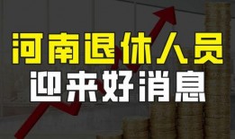 河南保险最新爆料,揭秘行业变革与风险挑战